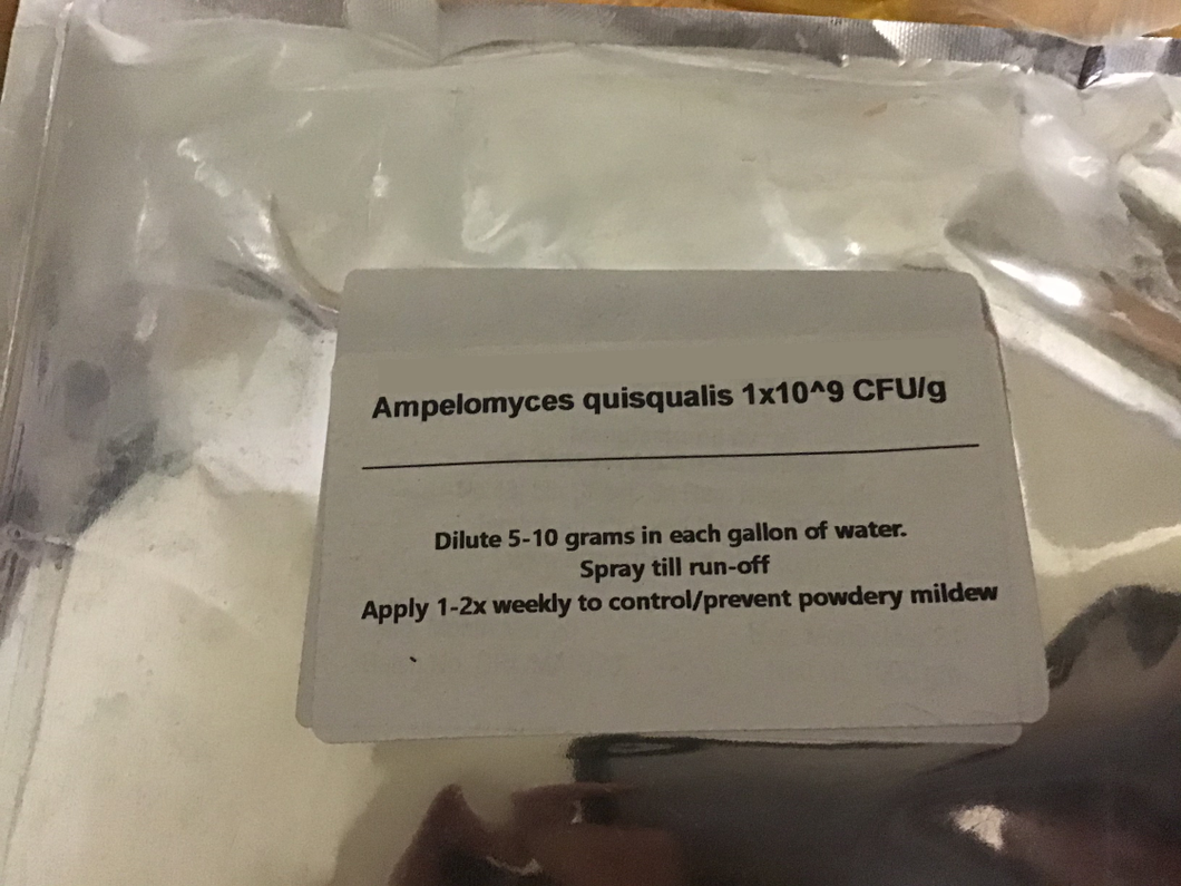Ampelomyces quisqualis - Kilogram (Dextrose Carrier)