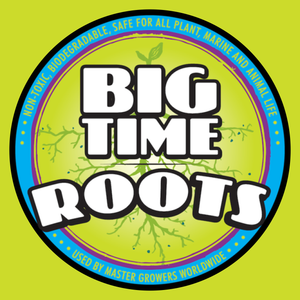 Big Time Roots