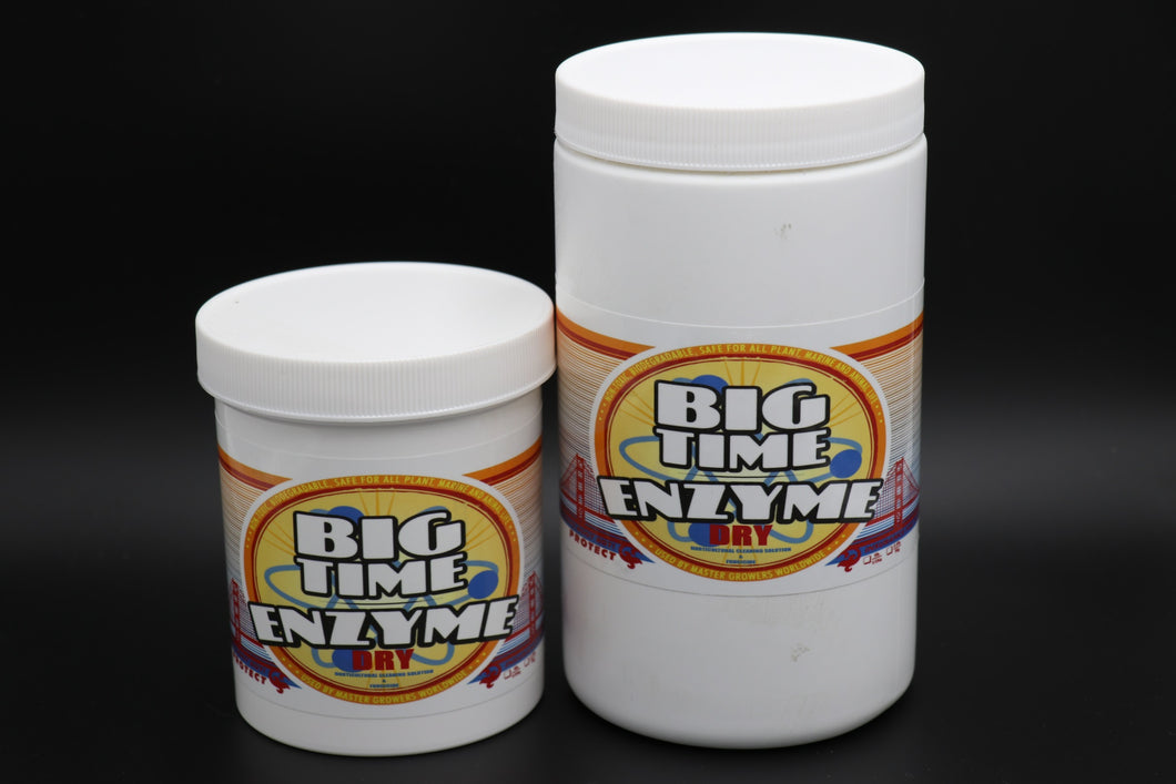 Big Time Enzyme Dry - DryZyme